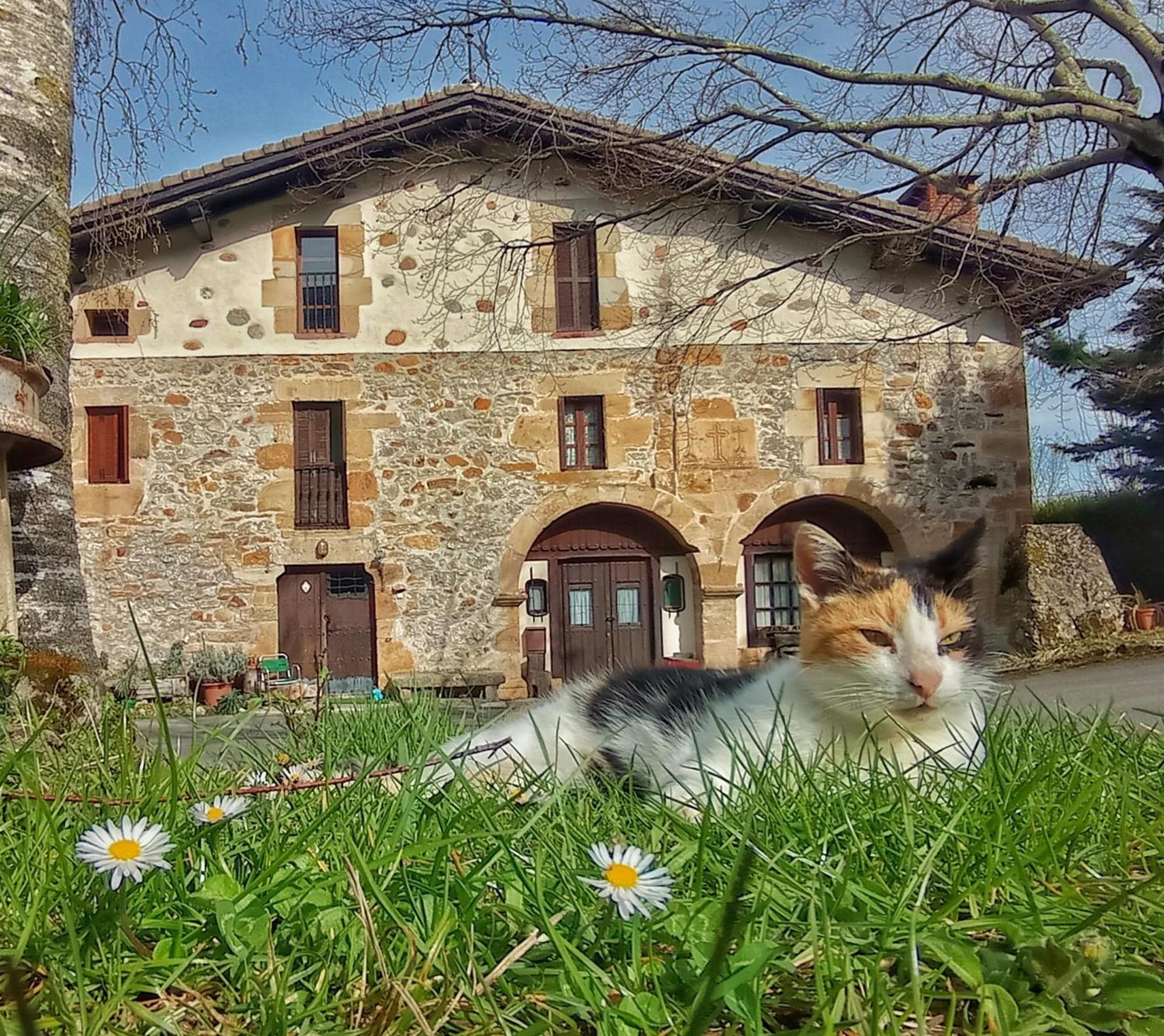 Casa Rural Areano Guest House Escoriaza Eksteriør bilde